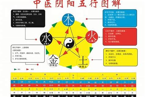 塑膠 五行|塑料五行属性是什么 怎么判断塑料五行